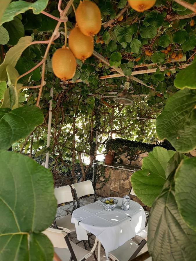 Villa Sailor'S Rustic House Virpazar Exterior foto