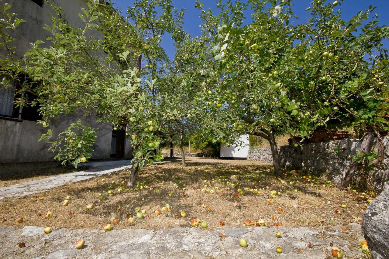 Villa Sailor'S Rustic House Virpazar Exterior foto