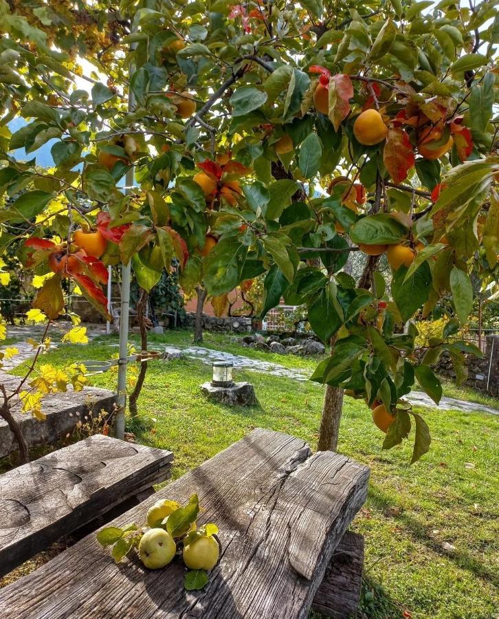 Villa Sailor'S Rustic House Virpazar Exterior foto