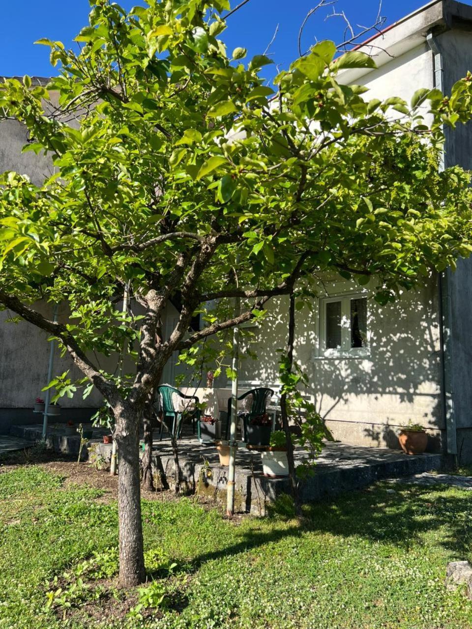 Villa Sailor'S Rustic House Virpazar Exterior foto
